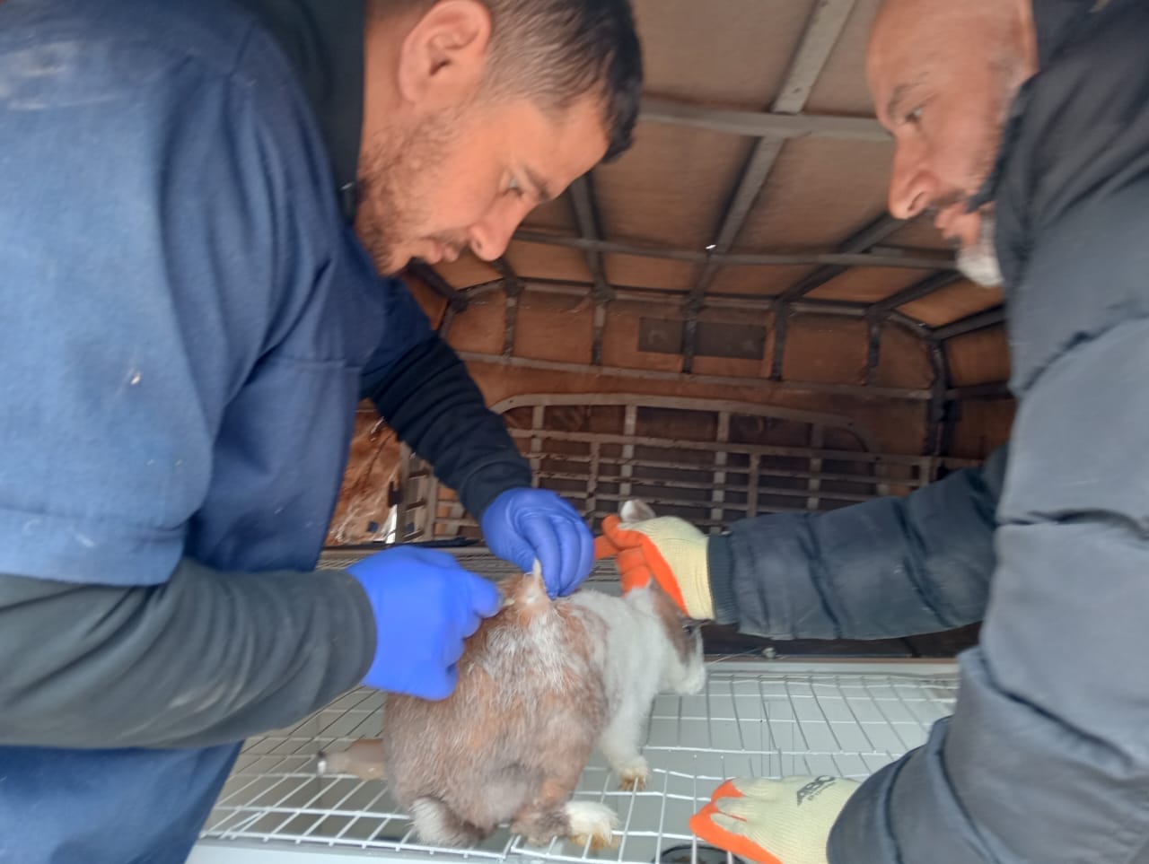 Informative Day on the Role of the United Nations Development Programme and Support from the European Union in Collaboration with the Algerian Association for Human Relations and Solidarity